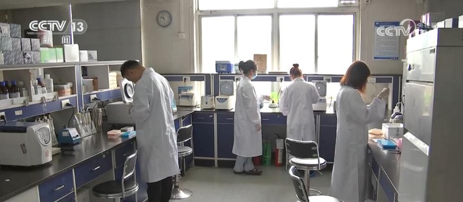 丹之慧生物